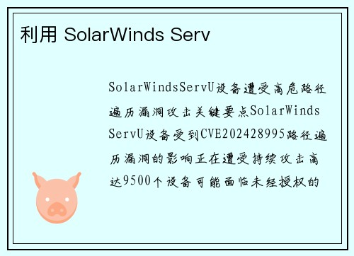 利用 SolarWinds Serv